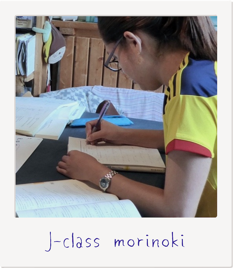 j-class morinoki