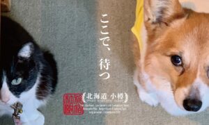 The Otaornai Backpackers' Hostel Morinoki